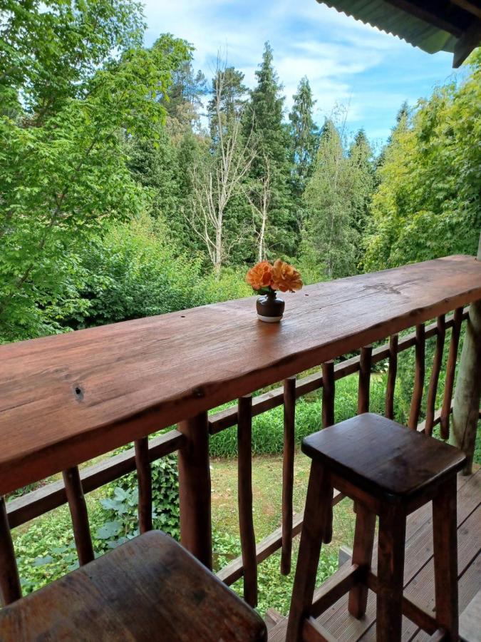 Вилла Maple Grove Хогсбэк Экстерьер фото